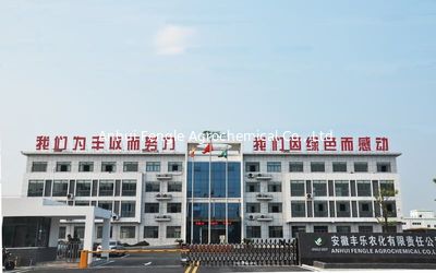 CHINA Anhui Fengle Agrochemical Co., Ltd. fabriek