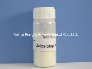 Quizalofop-p Ethyl95%TC, 98%TC, Sojaboon/Katoenen Agrochemisch Pesticide voor Jaarlijks Grasrijk Onkruid, Gebroken wit poeder