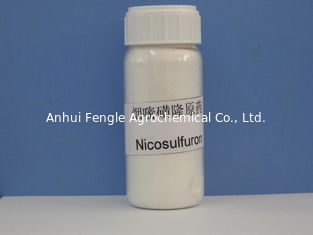 Nicosulfuron 97% TC, Systemisch Selectief Broadleaf Herbicide, Gebroken wit poeder