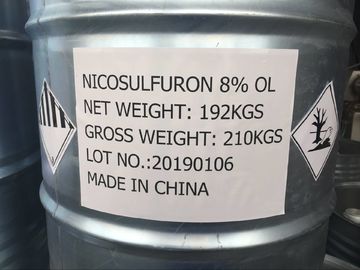 Nicosulfuron 80g/L OD, Melkachtige witte vloeistof, Broadleaf Grasmoordenaar voor Maïs
