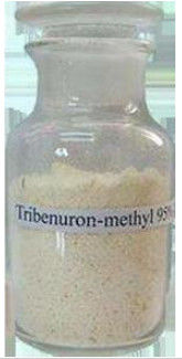 Het selectieve Methylherbicide 95% Tc van Herbicidetribenuron om Broadleaf Onkruid te controleren
